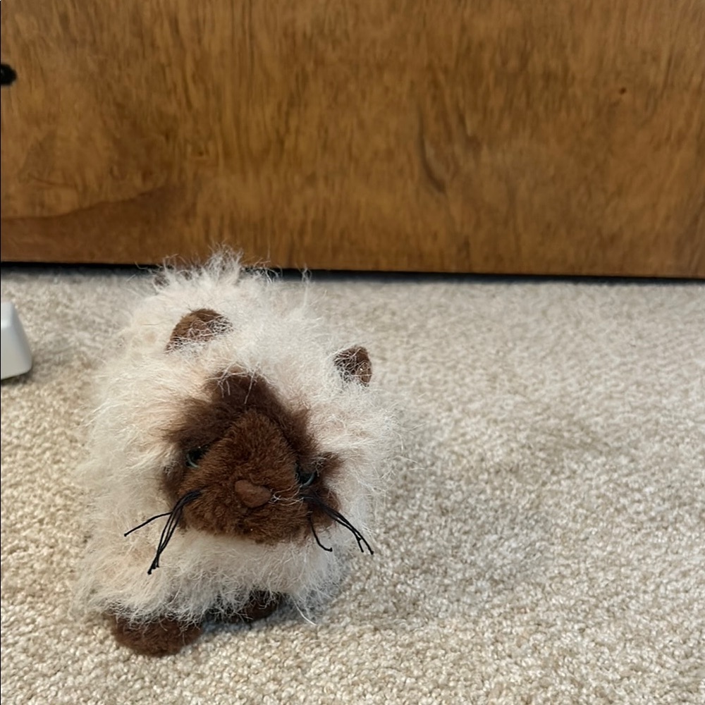 Webkinz Himalayan